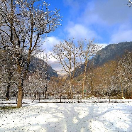 Family Apartman Szadelo - Zadiel Bagian luar foto