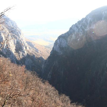Family Apartman Szadelo - Zadiel Bagian luar foto