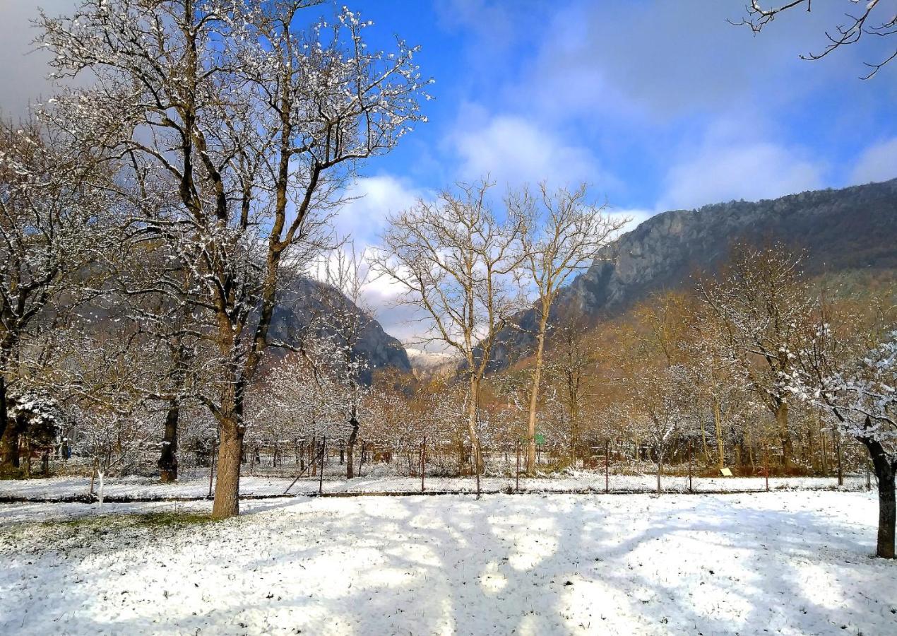Family Apartman Szadelo - Zadiel Bagian luar foto